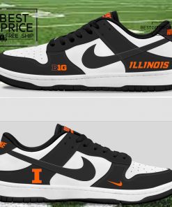 PIBWJRT Special Edition SB Dunk Lows