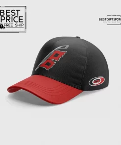 Carolina Hurricanes Limited Edition Hockey Jersey 4