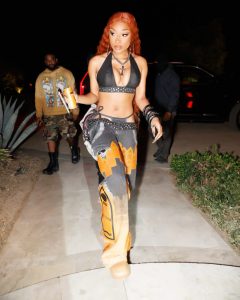 Megan Thee Stallion 819x1024