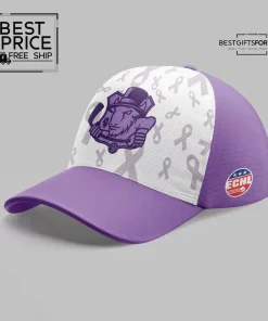 Limited Edition Bloomington Bison Hockey Fights Cancer Jersey 2025 2