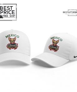 El Paso Chihuahuas Mexican Heritage Night Striped Jersey 4