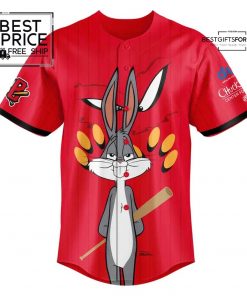 Schaumburg Boomers x Looney Tunes Jersey 2025 2